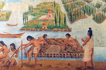 Aztecs harvesting food.