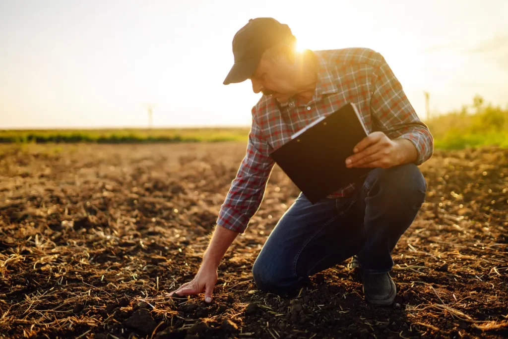 Checking the soil at sunset.