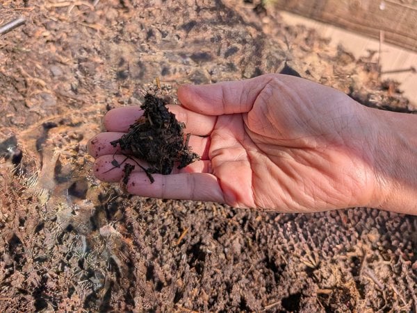Compost in hand.