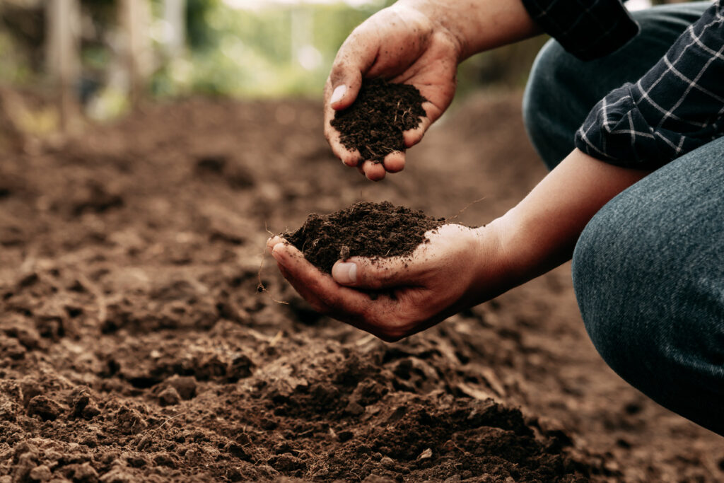 Cupping soil in hand.