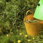 Compost shredder in action.