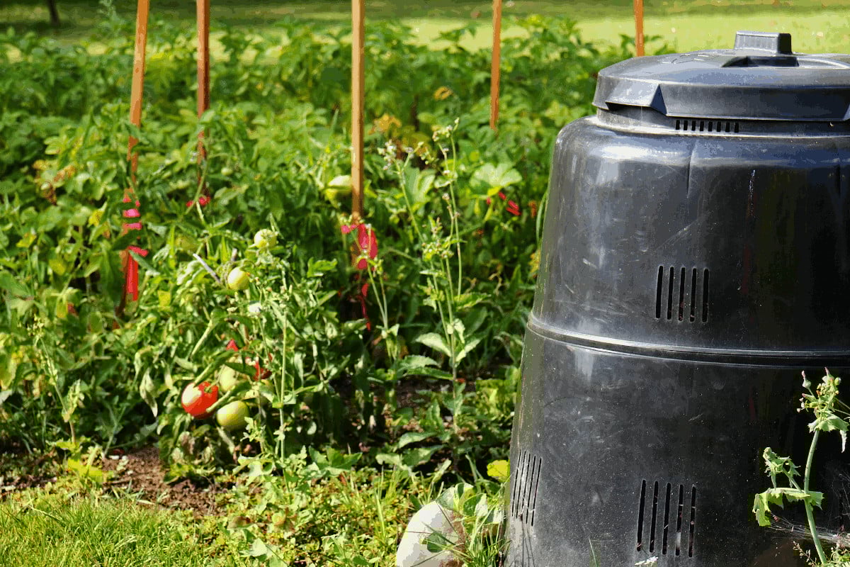 How Do Compost Bins Work? A Guide to Using Bins to Turn Waste Into