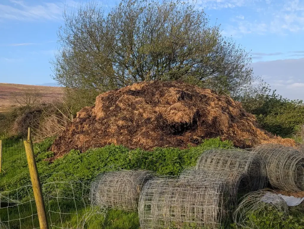 Manure pile in Wales.
