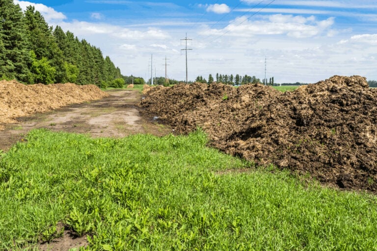 The Fascinating Science of Composting | Compost Magazine