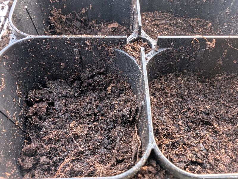 Low compost levels in seed trays.