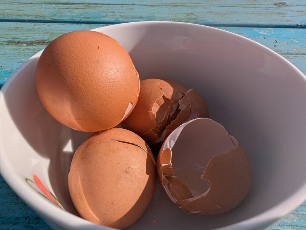 Cracked brown eggshells and whole eggs in a white bowl.