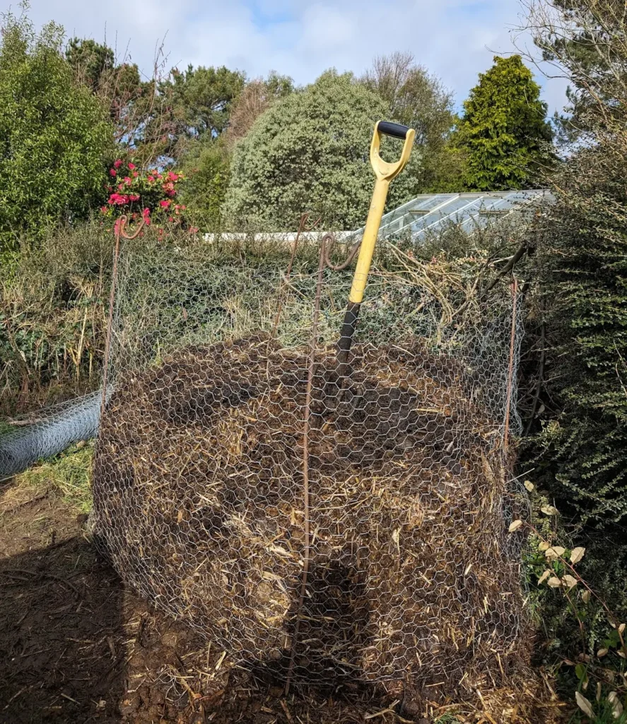 My wire compost bin with a fork in it.