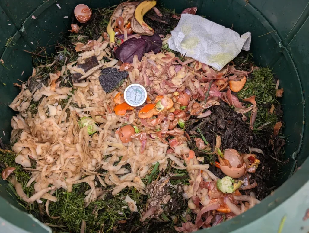 Green Johanna with compost material.