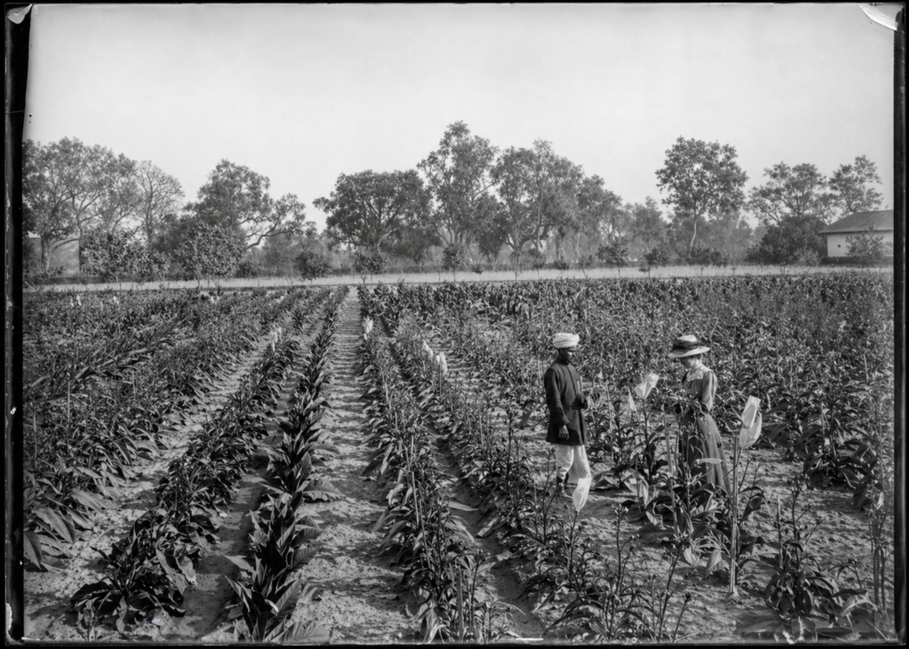 Gabrielle at work in the field. 