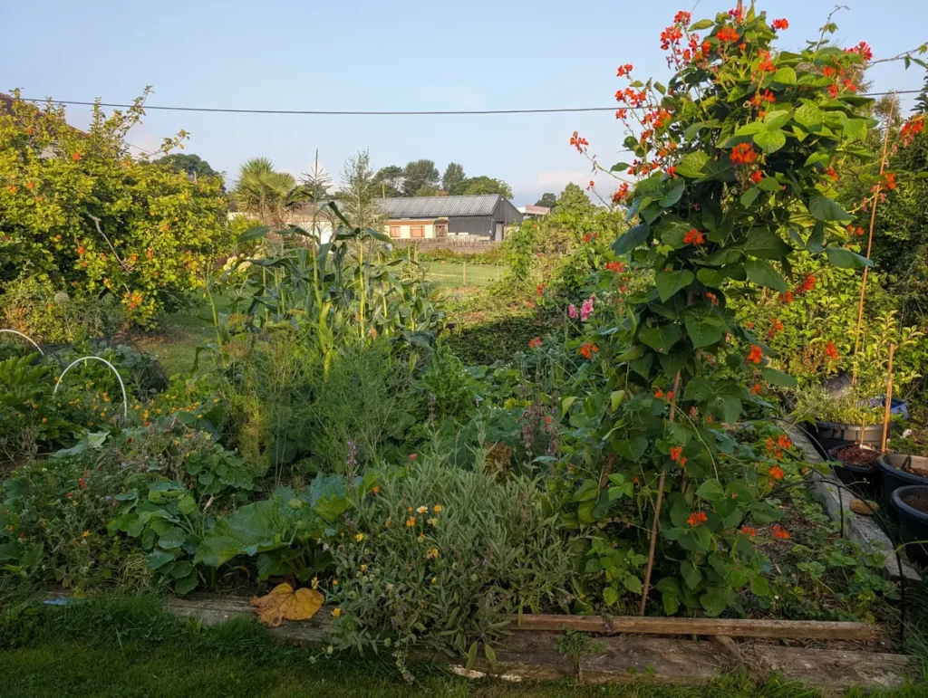 Three sisters in Wales.
