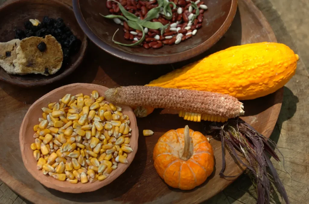 Corn, bean and squash.