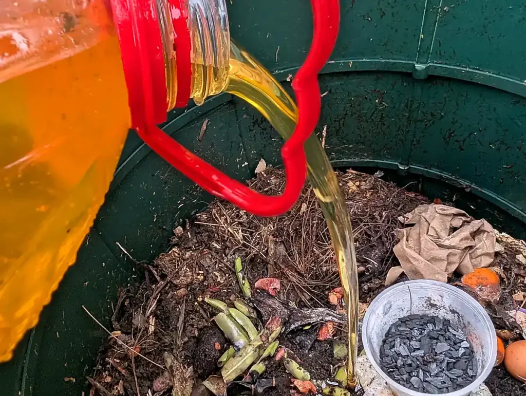 Cooking oil being poured into a compost bin beside a container of biochar.
