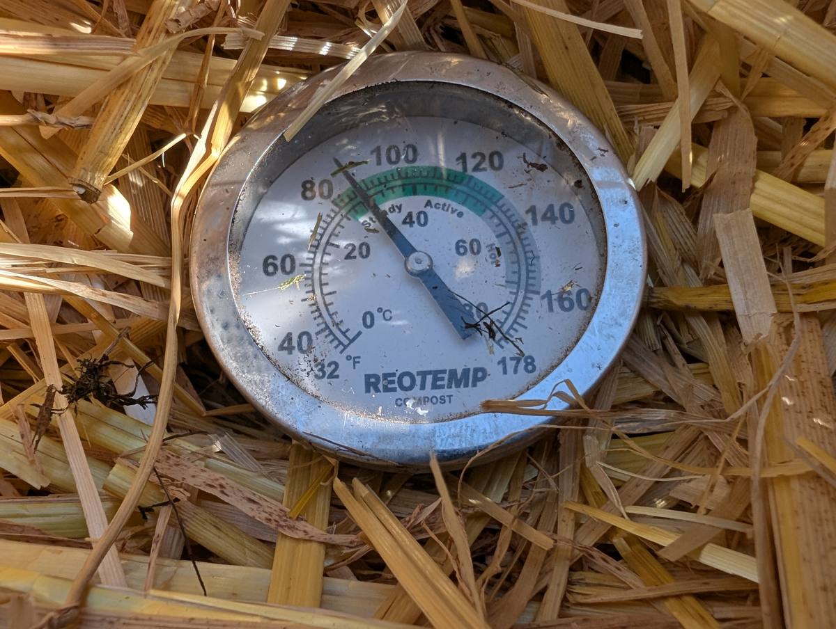 A REOTEMP compost thermometer pushed into straw inside a compost bin