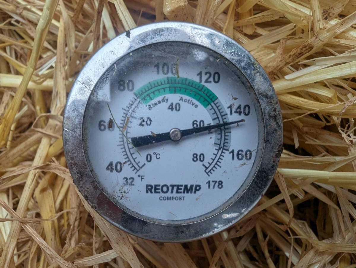 A compost thermometer in straw with the needle at about 60 degrees Celsius