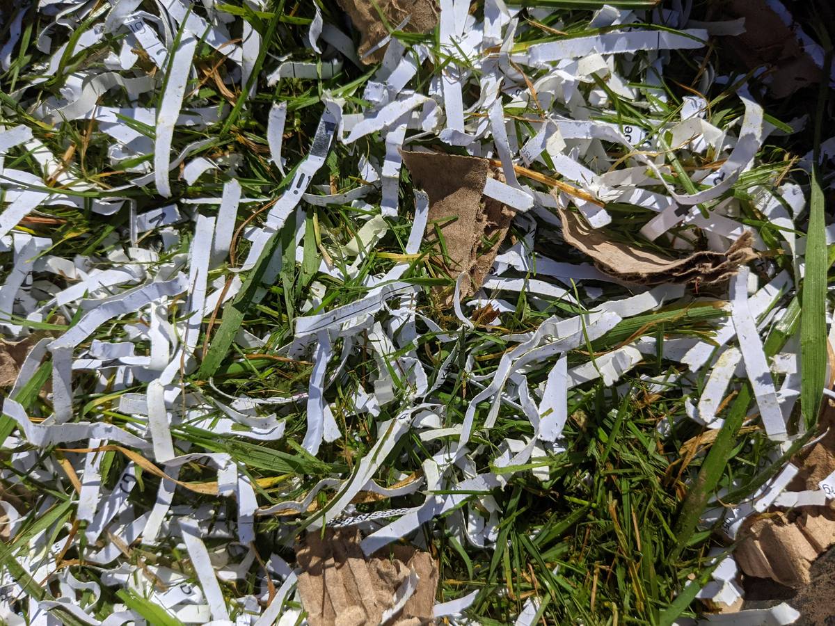 Close up of freshly cut grass clippings mixed with strips of shredded white paper