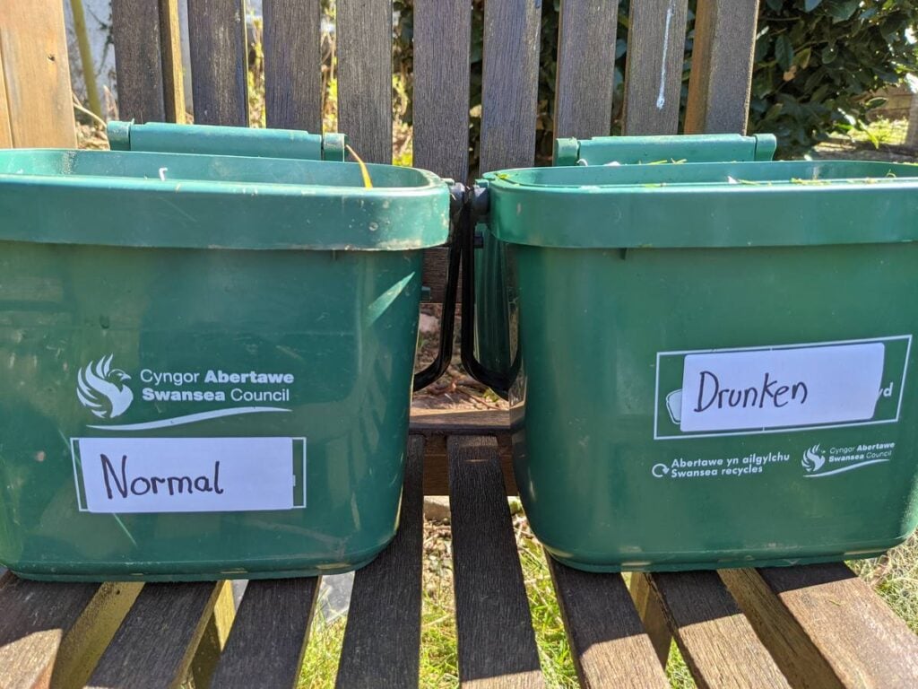 Two green council compost caddies side by side on a wooden bench, hand-labelled Normal and Drunken