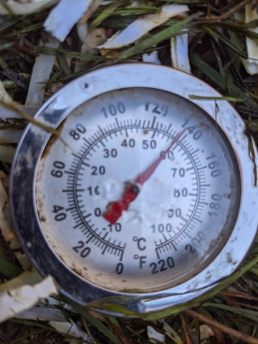 A dial compost thermometer taking a reading in composting grass and paper