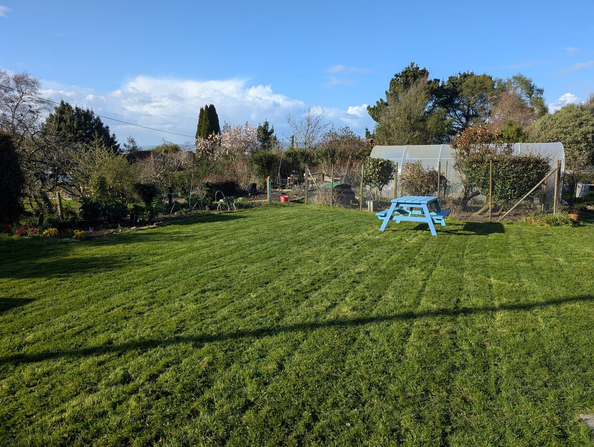 Freshly mown lawn with mower stripes, a chicken run and a polytunnel behind