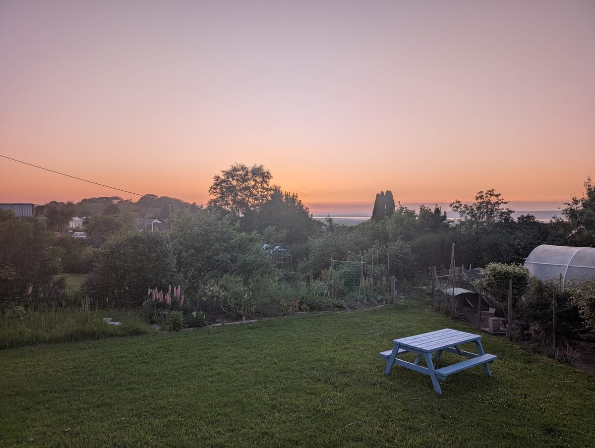 Sunset over a back garden with a lawn, picnic bench and polytunnel