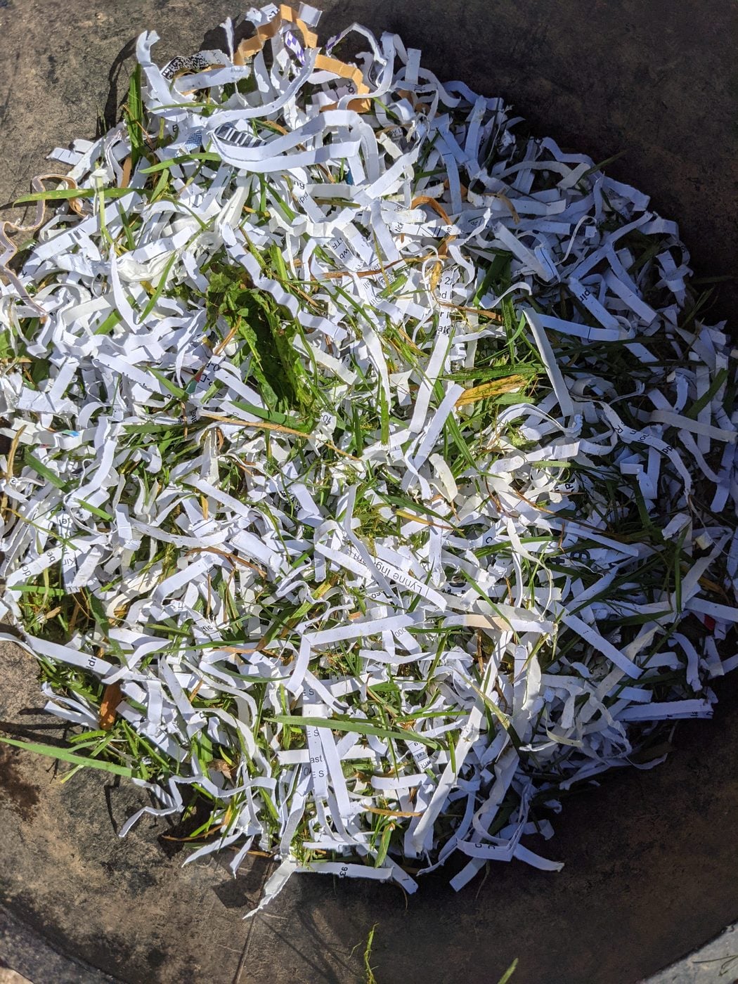 Fresh grass clippings mixed with shredded paper in a compost bin