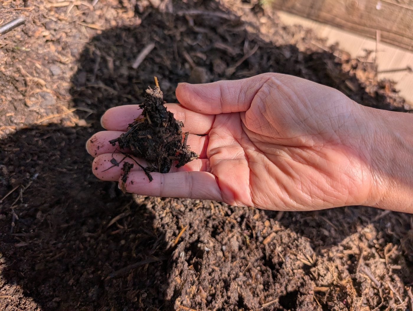 An open hand holding a clump of dark, finished compost