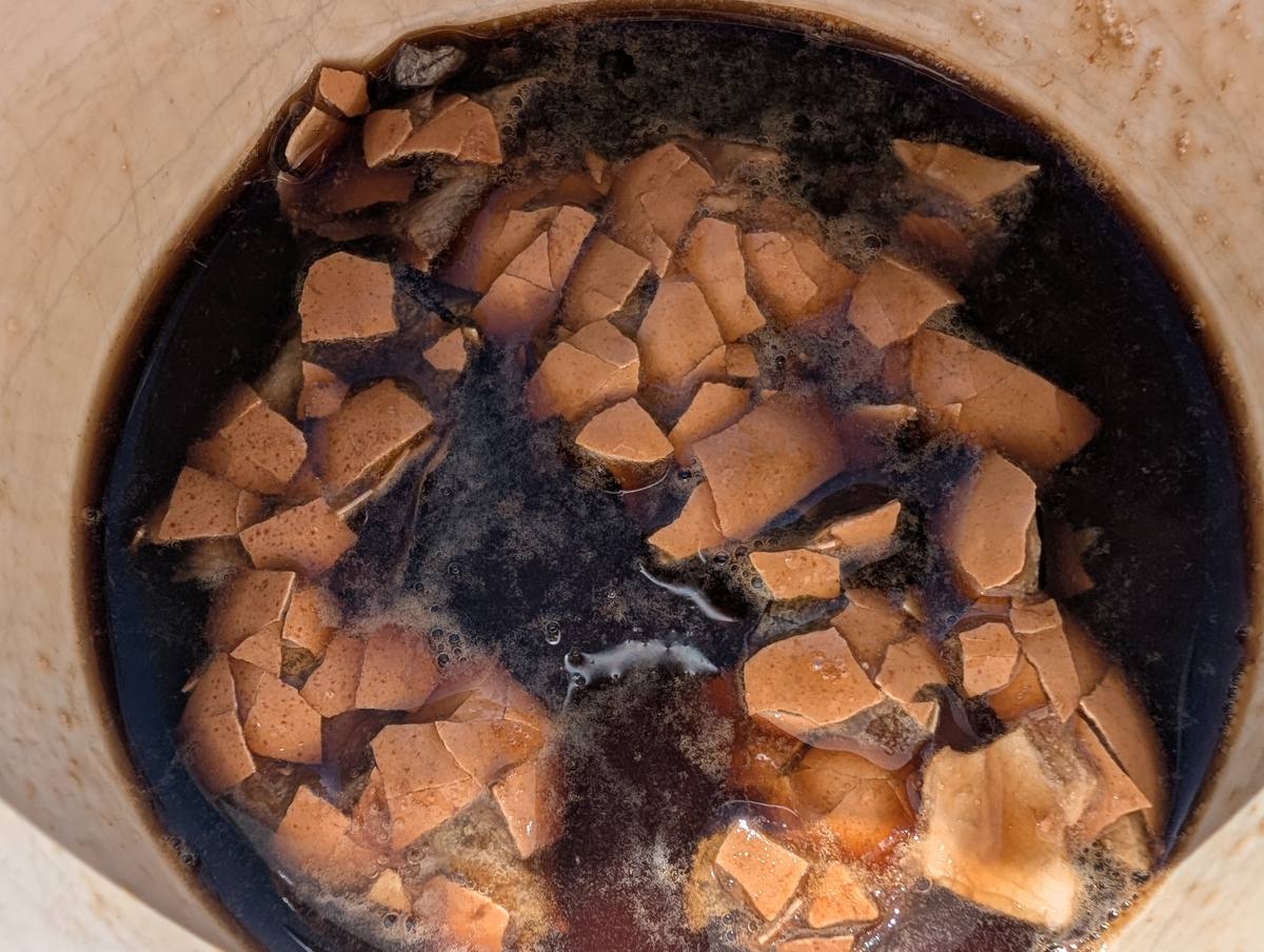 Broken brown eggshells soaking in dark balsamic vinegar in a bowl, with fizzing bubbles on the surface.