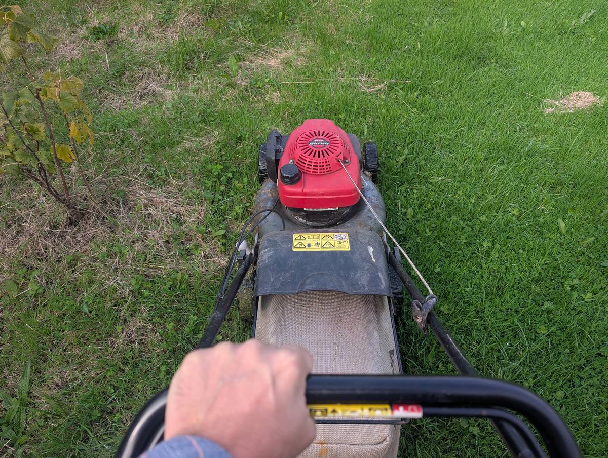 View from behind a lawnmower while mowing the lawn