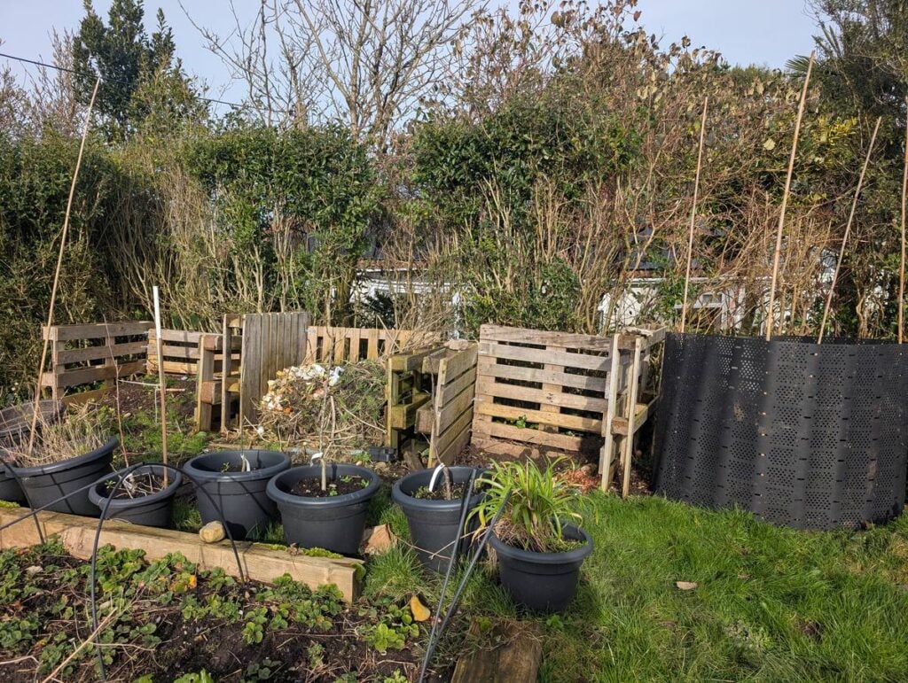 Row of pallet compost bays and black plastic bins beside planters and vegetable beds in winter