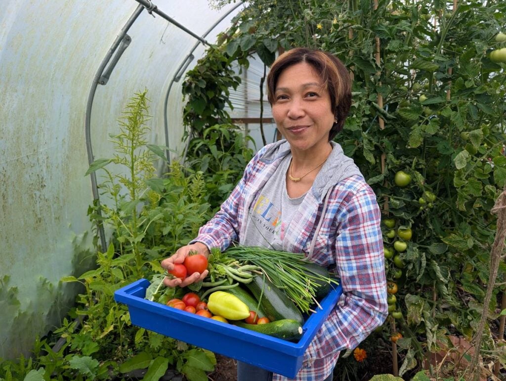 Woman in a polytunnel holding a blue crate of home-grown tomatoes, peppers, courgettes, beans and chives
